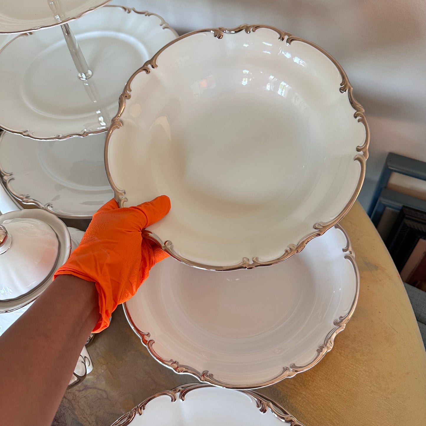 ✨ 86-Piece Hutschenreuther Revere Sylvia Platinum Trim Fine China Tableware Set