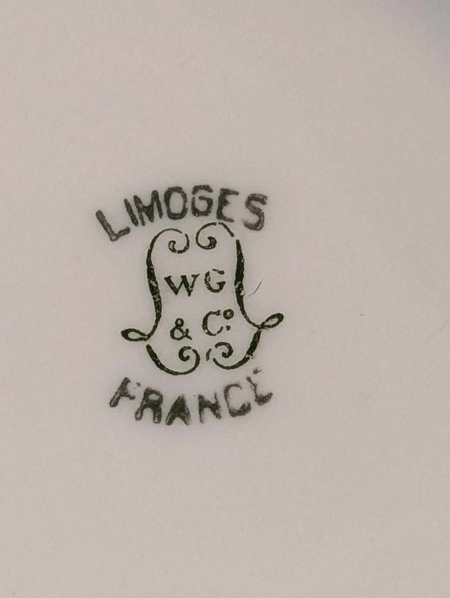 Antique Limoges W.G. & Co. 164-Piece Porcelain China Set – Gold Rim – 1900s-1932 – France